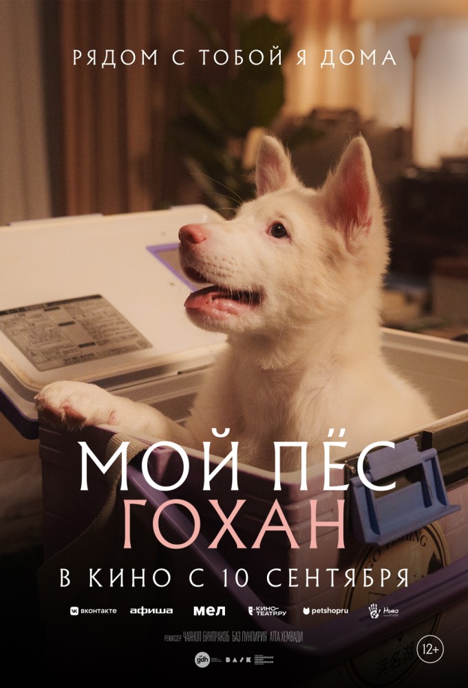 Мой пес Гохан
